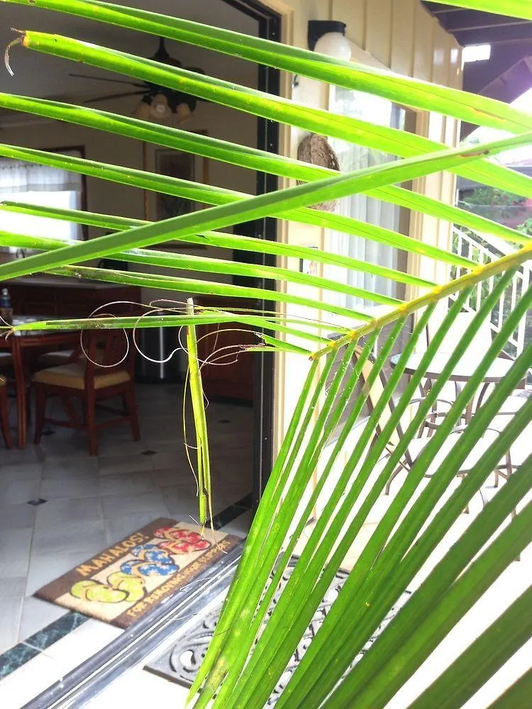 Sunny Poipu Koloa Landing Condos 3*,